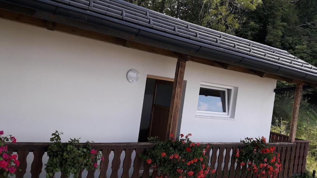 Apartmaji Gorenc Bled Kültér fotó